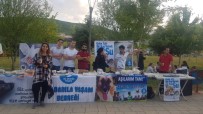YAPRAK SARMA - Tatvan'da Sokak Hayvanları Yararına Kermes
