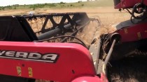 HÜSEYIN ARABACı - Trakya'da Buğday Hasadı Başladı