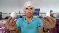 YUMURTA - Yumurta Üreticilerinin Gözü Irak Pazarında