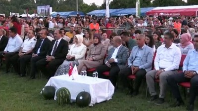 Adana'da '3. Karpuz Festivali' Düzenlendi
