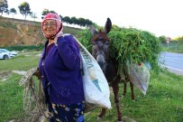 Ayşe Teyze'den Gençlere Nasihat; Sigortasız Çalışmayın