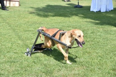 Büyükşehirden Asılsız Haberler Ve Paylaşımlara Yalanlama