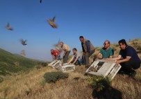 Elazığ'da Bin Keklik Doğaya Salındı Haberi
