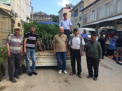Keles Ziraat Odası Ceviz Ve Badem Fidanı Dağıtıyor