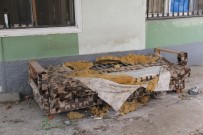 Köpeğin bulduğu altınların sahibi aranıyor