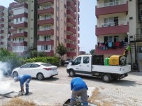 Sinekle Yoğun Mücadele Devam Ediyor