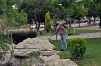 Söğüt'te İlaçlama Çalışmaları Devam Ediyor