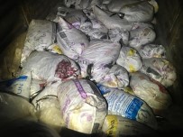 AV YASAĞI - Van'da 10 Bin 500 Kilo Kaçak Avlanmış Balık Ele Geçirildi