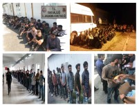 Van'da 139 Kaçak Göçmen Yakalandı