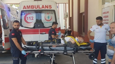 Antalya'da  Erik Ağacından Düşen Yaşlı Şahıs Yaralandı