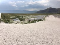 TARIM ARAZİSİ - Ardahan'da Dolu Hayatı Felç Etti