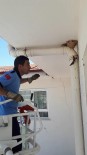 KIRLANGIÇ - Binanın Çatı Kısmındaki Boruya Sıkışan Kırlangıcı İtfaiye Kurtardı