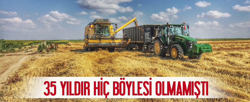 Hasatta en verimli yıl