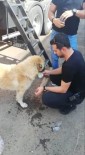(Özel) Polis Memurları Susayan Köpeğe Elleriyle Su Verdi