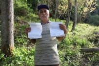 ORMAN ARAZİSİ - (Özel) Tapulu Arazisine 40 Yıl Önce Diktiği Kavak Ağaçlarına, Orman Arazisi Diye El Konuldu
