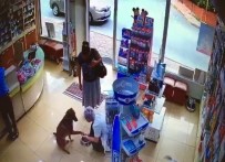 SOKAK KÖPEĞİ - (Özel) Yaralı Köpek Patisini Kaldırarak Eczacıdan Adeta Yardım İstedi