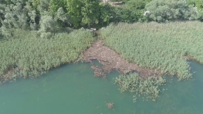 Selden Dolayı Tonlarca Ağaç Sapanca Gölüne Sürüklendi