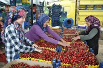 Simav'dan Kiraz İhracatı