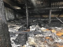 Tekman'da Köyde Çıkan Yangın Korkuttu Haberi
