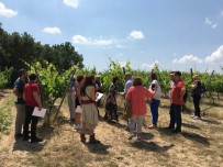 OSMAN BILGIN - Turizim'in Yeni Adresi Kırklareli