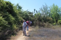 GÖLLER - Antalya'da Ot Çalı Yangını