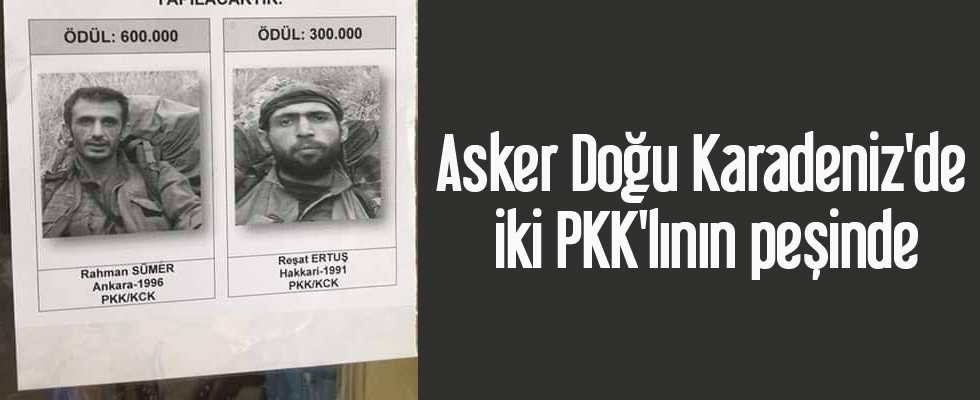 Asker Doğu Karadeniz'de iki PKK'lının peşinde