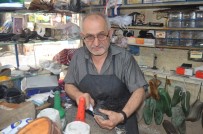 SÜLEYMAN DEMIREL ÜNIVERSITESI - Ayakkabı Tamircileri Çırak Bulamıyor