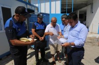 ÇEVRE KIRLILIĞI - Belediyeye Şikayet Geldi, Başkan Baskın Yaptı