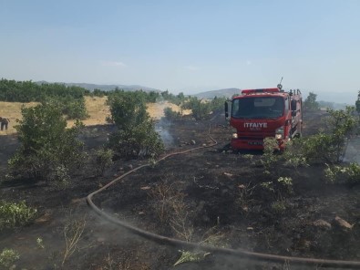 Bingöl'de Ormanlık Alanda Çıkan Yangın Söndürüldü