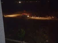 Diyarbakır'da Kuru Sıkılı Maganda