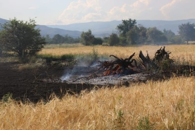 Erzincan'da Arpa Tarlasında Yangın
