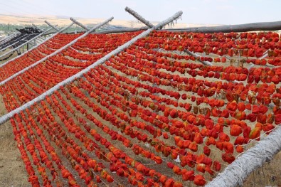 Gastronomi Kenti Gaziantep Kırmızıya Boyandı