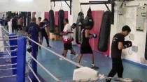 Genç Boksörler Avrupa Şampiyonası'na Kastamonu'da Hazırlanıyor