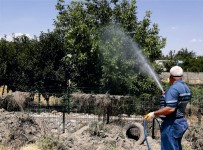 İBRAHİM YUSUF TURANLI - Kahta Belediyesi İlaçlama Çalışmalarını Yoğunlaştırdı