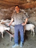 YAZıKENT - Koyun Yıkamaya Giden Abi Kardeş Boğularak Hayatını Kaybetti