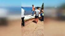 CELALETTIN YÜKSEL - Marmaris Kızkumu Plajı'ndaki Ruhsatsız Su Sporları Parkuru Kaldırıldı
