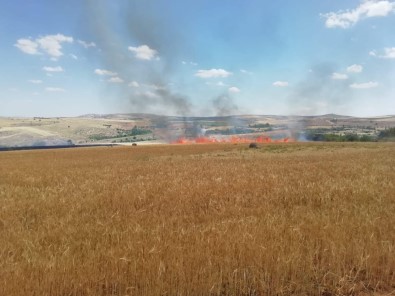 Aksaray'da 300 Dönüm Tarım Hububat Arazisi Yandı
