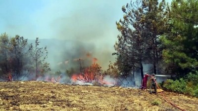 Antalya'da Makilik Ve Ormanlık Alanda Yangın