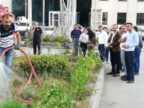 KAZMA KÜREK - Belediye Encümenleri Caddeleri Yeşillendirdi