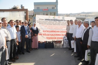 Cizre'de Çiftçilere 10 Bin Adet Hindi Palazı Ve 60 Ton Yem Dağıtıldı