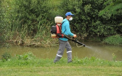 Haşereyle Kesintisiz Mücadele