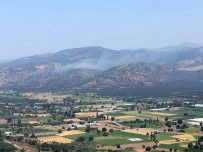 Havran'daki Orman Yangını Kontrol Altına Alındı Haberi
