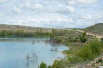 ESKİŞEHİR VALİSİ - Haydi Maya Çalmaya