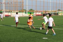 OYUN DÜNYASI - Şanlıurfa'da Futbol Yaz Okuluna Yoğun İlgi