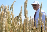 BEKİR ŞAHİN TÜTÜNCÜ - Tarımsal Alanda Geliştirilen Ürün Seçenekleri Çiftçilere Anlatıldı