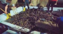 AVCILIK - Tekirdağ'da Bir Tekne Dolusu Kaçak Midye Ele Geçirildi