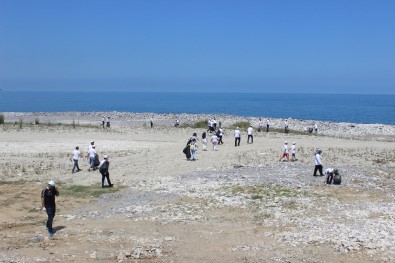 Türkeli'de Çevre Temizliği Etkinliği