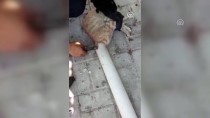 PAMUKKALE - Çatıdaki Boruya Sıkışan Kedi Kurtarıldı