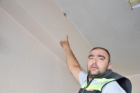 KAHVEHANE - Kahvehaneye Giren Dev Örümcek Korkuttu