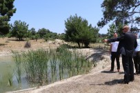 YAĞCıLAR - Manisa'da Yeni Mezarlık Yeri İçin Çalışma